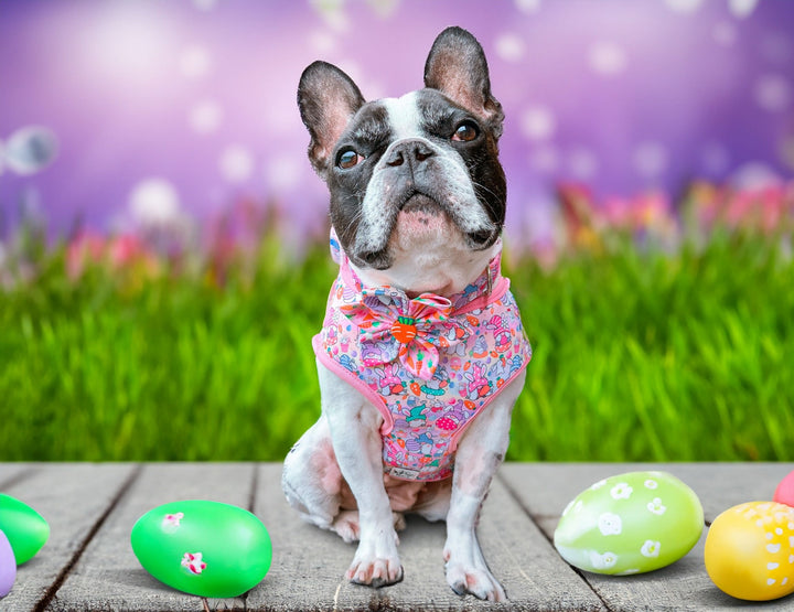 Dog harness - Easter Gnomes - Pink trim