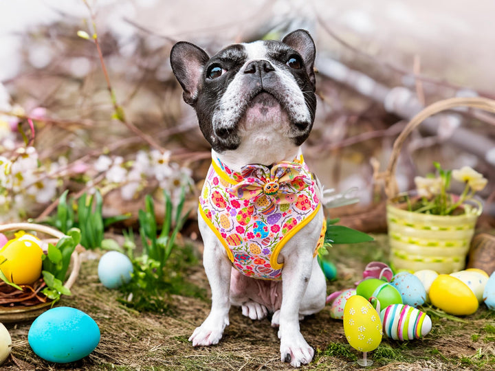 Easter egg flower dog harness/ boy girl dog harness vest