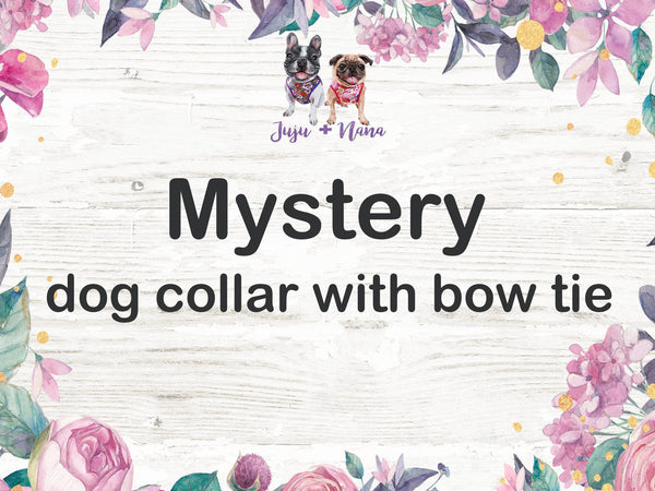 Mystery dog collar with bow tie