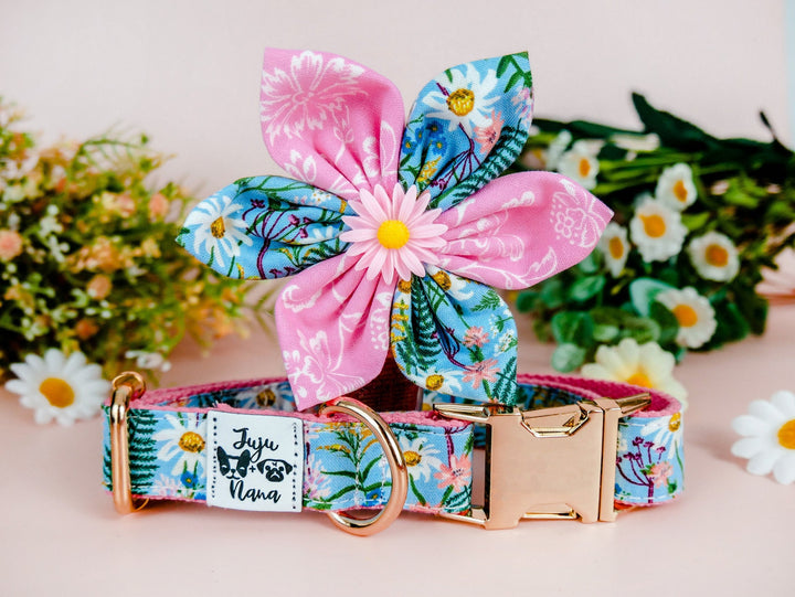 Dog collar with flower - Daisy and wildflowers