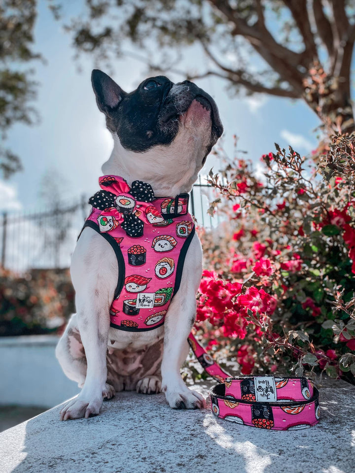 Japanese Sushi dog harness leash set/ girl cute dog harness vest