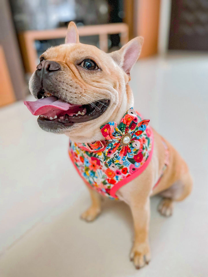 Rifle paper co Floral dog harness set/ Girl flower dog harness and leash/ female dog lead and harness/ custom garden party dog harness vest