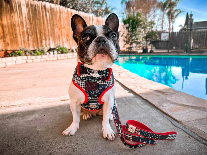 Nautical beach dog harness leash set/ anchor boy dog harness vest/ sailor boat dog harness and lead/ tropical custom small medium dog harnes
