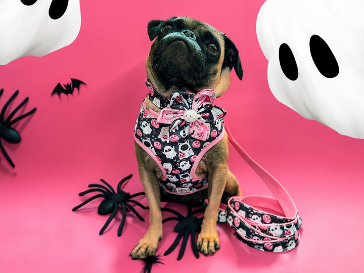 Halloween ghost dog harness leash set/ girl cute dog harness vest/ purple spooky harness and lead/ pumpkin fabric custom fall dog harness