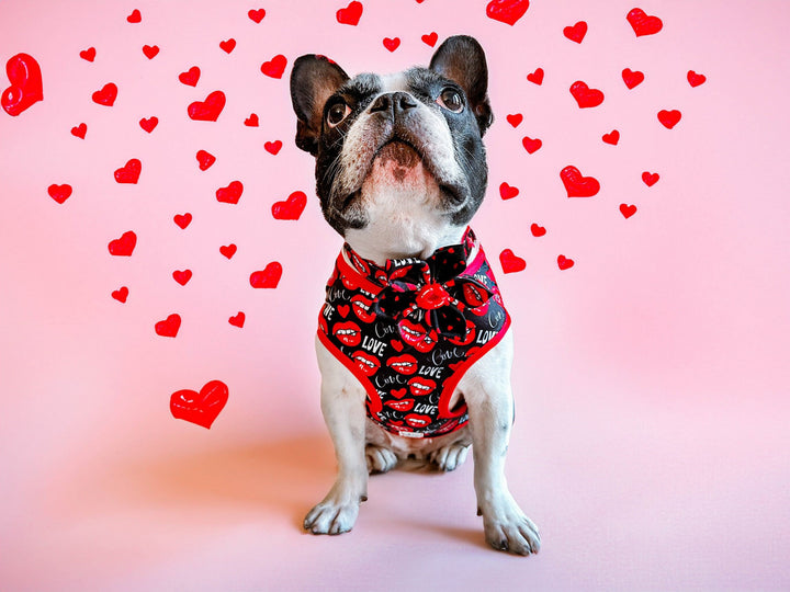 Valentine dog Harness - Lips and Kisses