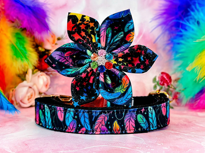 rainbow Feather dog collar with flower/ pride summer dog collar/ tribal aztec dog collar/ boho girl dog collar/ large small medium collar