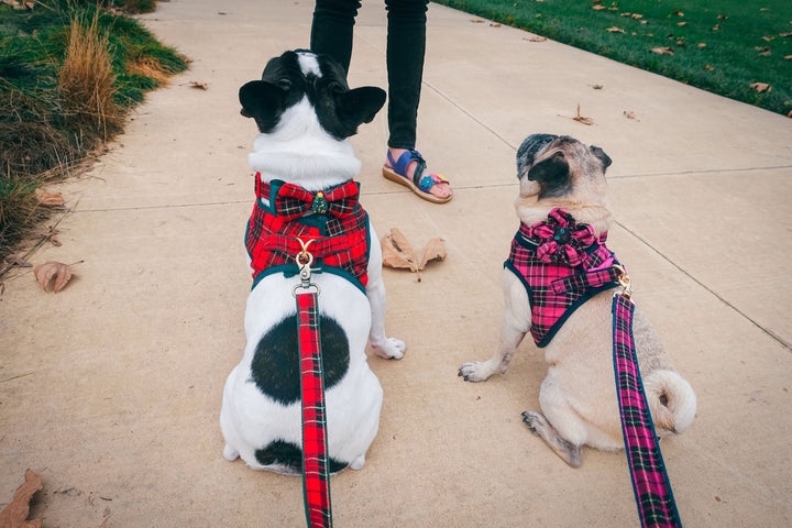 Pink plaid dog collar with flower