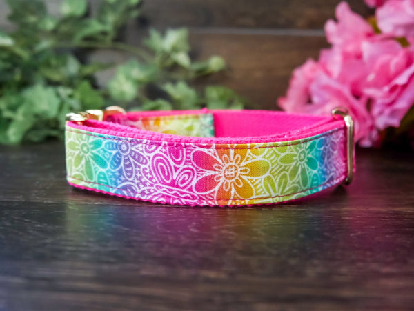 Dog collar - Rainbow flowers