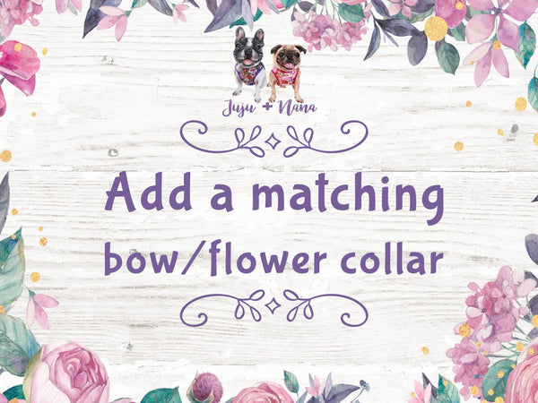 Add a matching flower or bow tie Collar