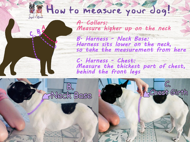 Rifle Paper Co dog harness - meadow black