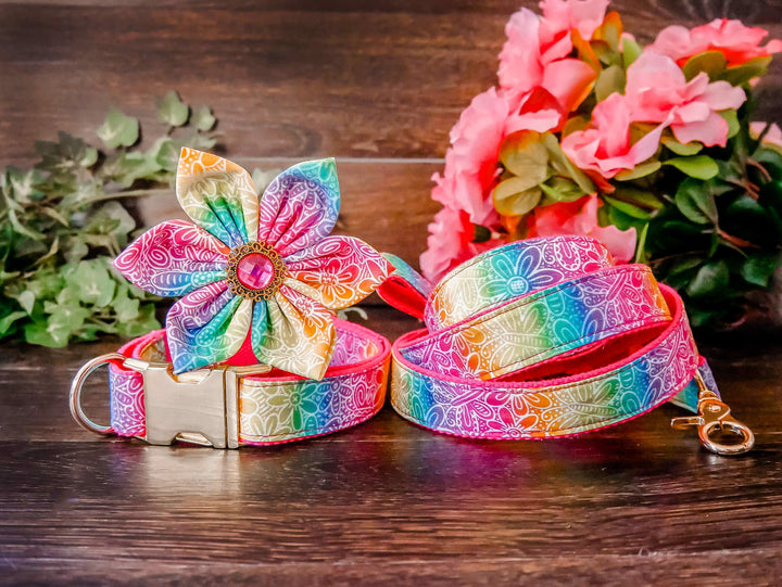 Rainbow dog collar with flower