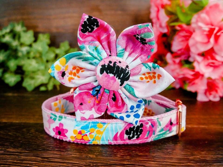 Dog collar with flower - watercolor pink rose