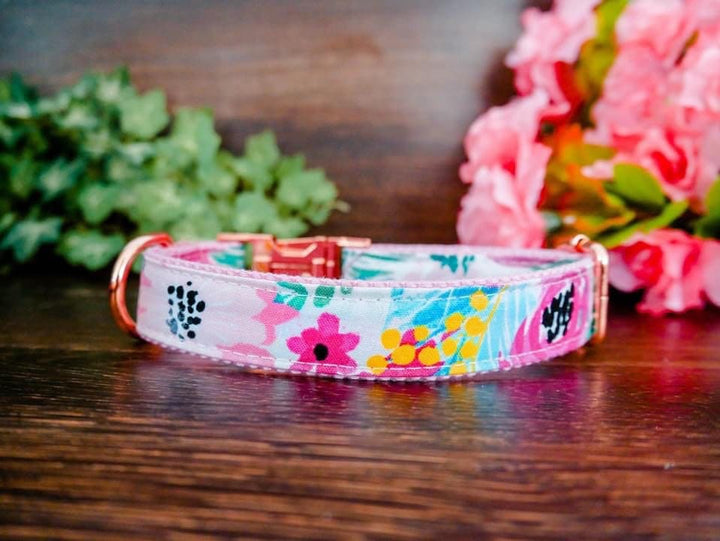 Dog collar - pink watercolor rose