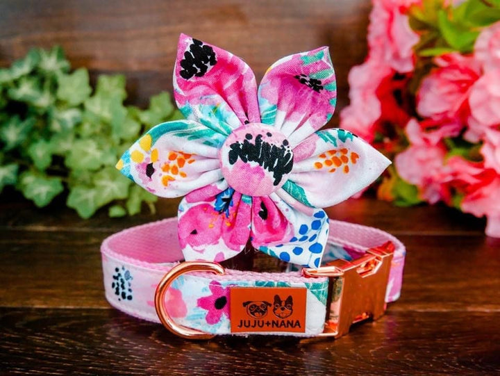 Dog collar with flower - watercolor pink rose