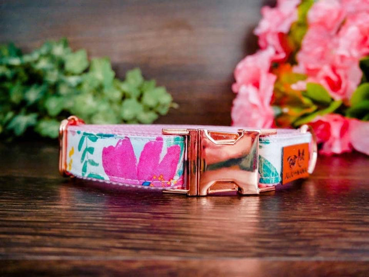 Dog collar - pink watercolor rose