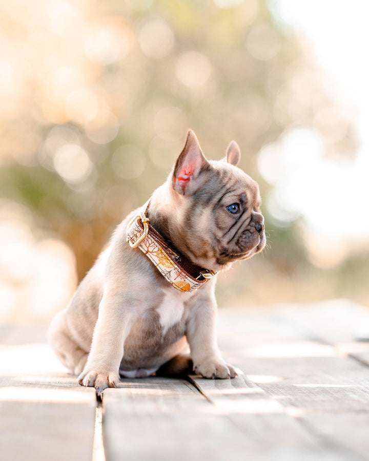 Dog collar - Pink forest