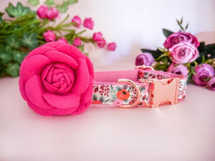 Rifle Paper Co dog collar with flower - Rosa Blush