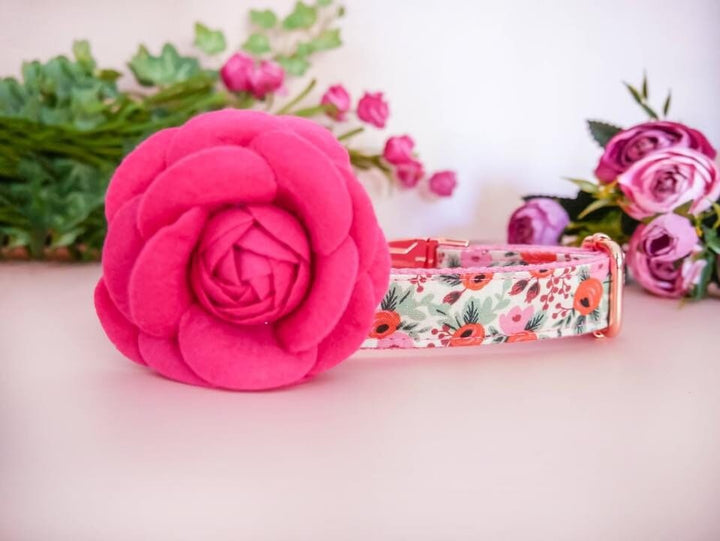 Rifle Paper Co dog collar with flower - Rosa Blush