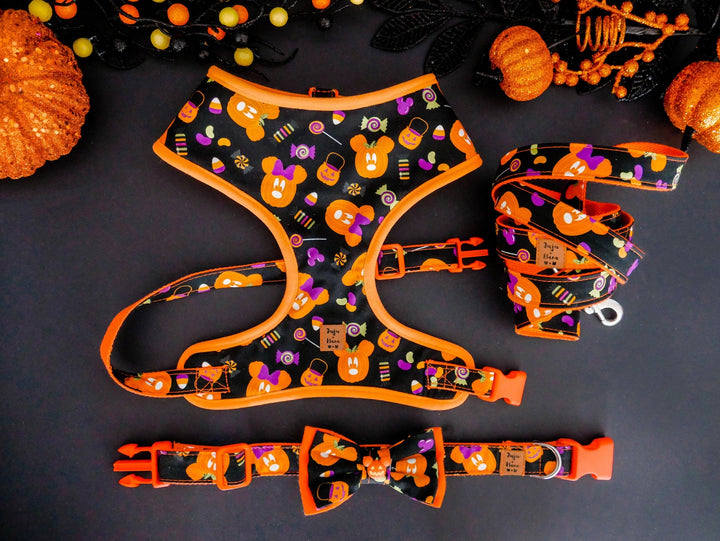 Halloween mickey pumpkin dog harness vest/ Spooky jack o lantern dog harness/ Fall Autumn dog harness/ boy girl black orange dog harness