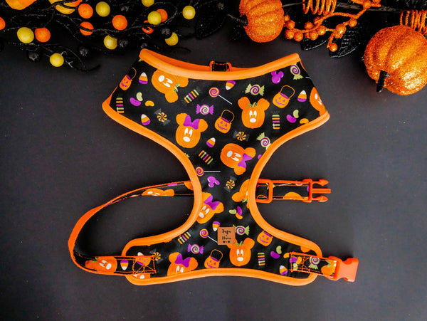 Halloween mickey pumpkin dog harness vest/ Spooky jack o lantern dog harness/ Fall Autumn dog harness/ boy girl black orange dog harness