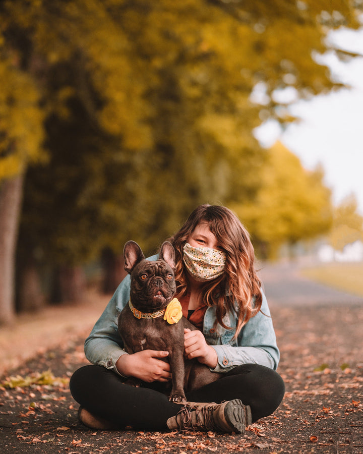 Rifle Paper Co dog collar with flower - Rosa Yellow