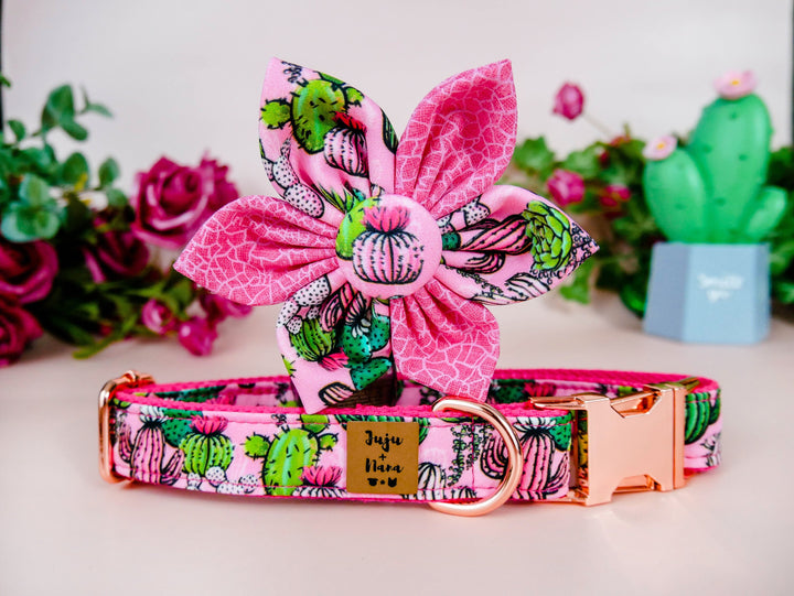 Cactus Succulent Dog Collar with flower - pink webbing