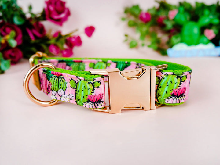 Dog collar - Cactus Succulent and flowers - Green webbing