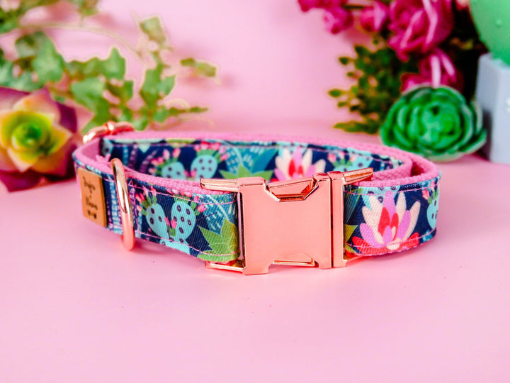 Dog collar - Succulent cactus and flowers