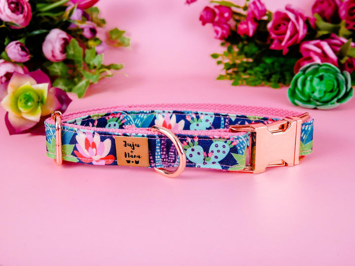 Dog collar - Succulent cactus and flowers