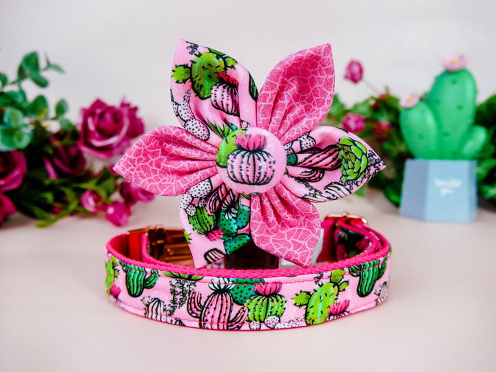 Cactus Succulent Dog Collar with flower - pink webbing