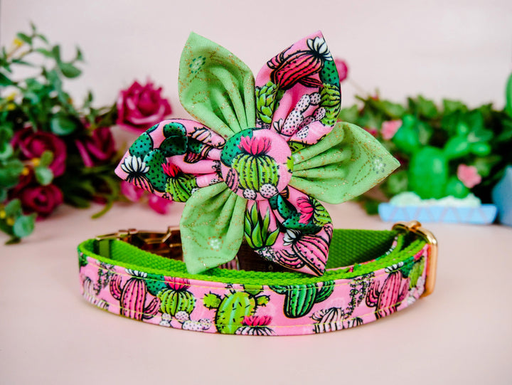 Cactus Succulent Dog Collar with flower - green webbing