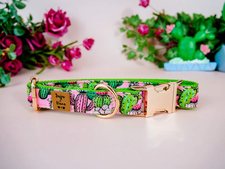 Dog collar - Cactus Succulent and flowers - Green webbing