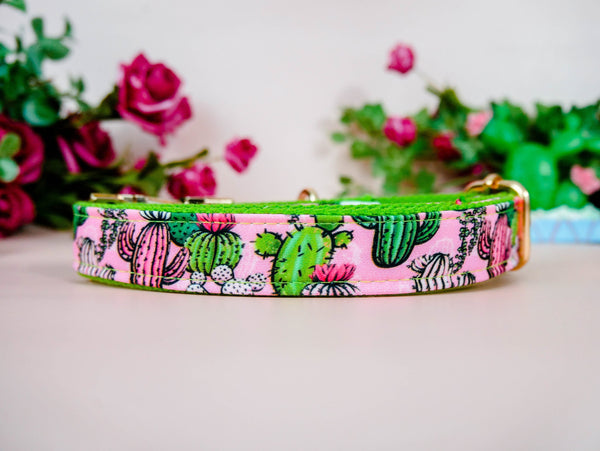 Dog collar - Cactus Succulent and flowers - Green webbing