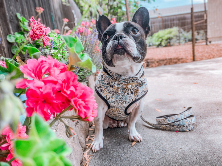 Rifle Paper Co dog harness - MENAGERIE Tapestry Natural Gold Metallic