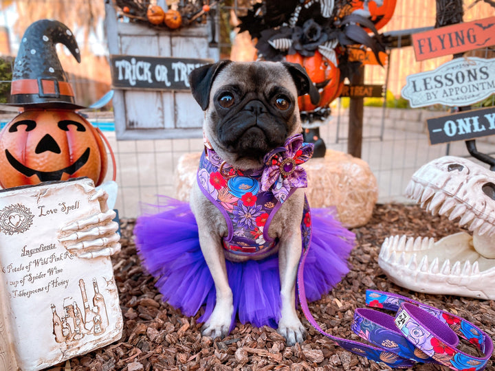 Halloween/Fall/Autumn/Thanksgiving purple glitter floral dog harness