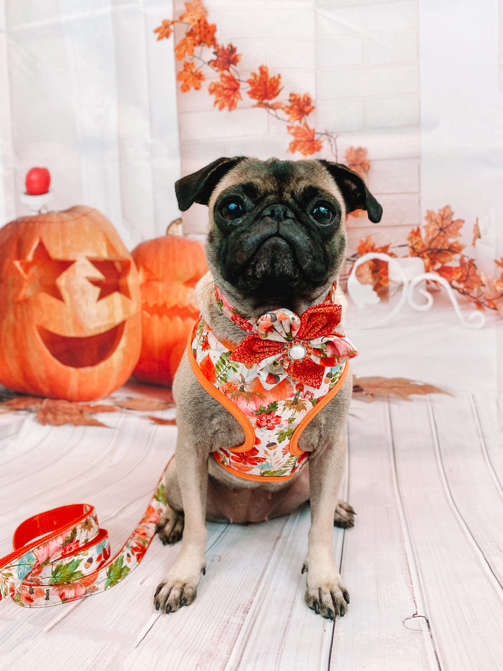 Thanksgiving dog harness - watercolor autumn