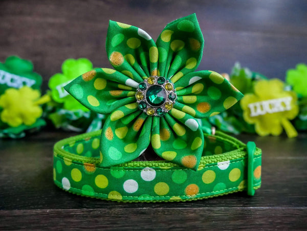 St. Patrick's day dog collar with flower - GLitter dots
