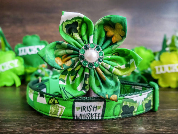 St. Patrick's day dog collar with flower - Irish Beer