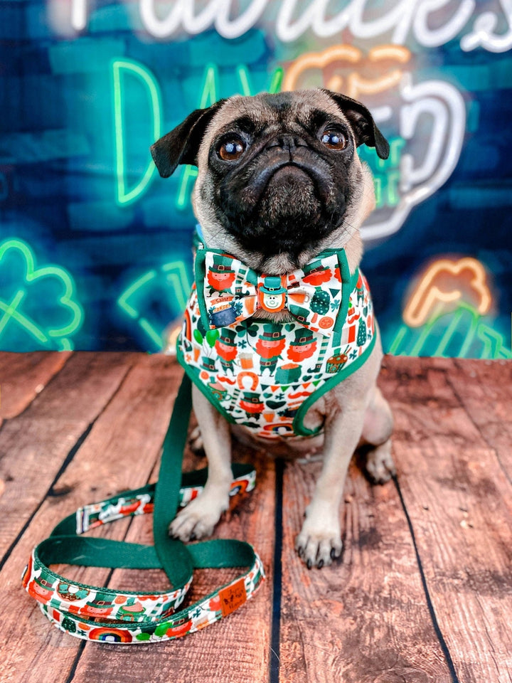 St. Patrick's Day dog harness - Leprechaun