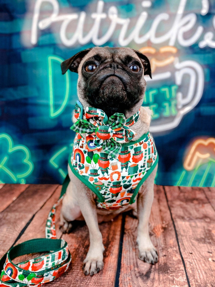 St. Patrick's Day dog collar flower - Leprechaun