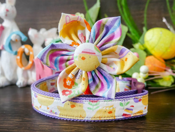 Easter chick and egg dog collar with flower