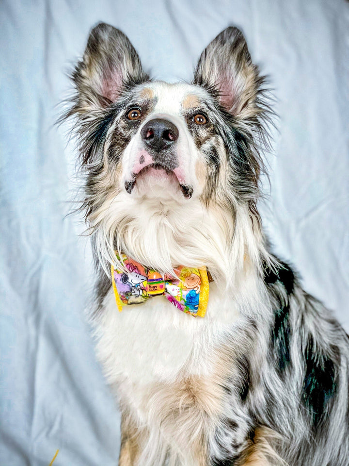 Easter dog collar bow tie - doggies and Eggs
