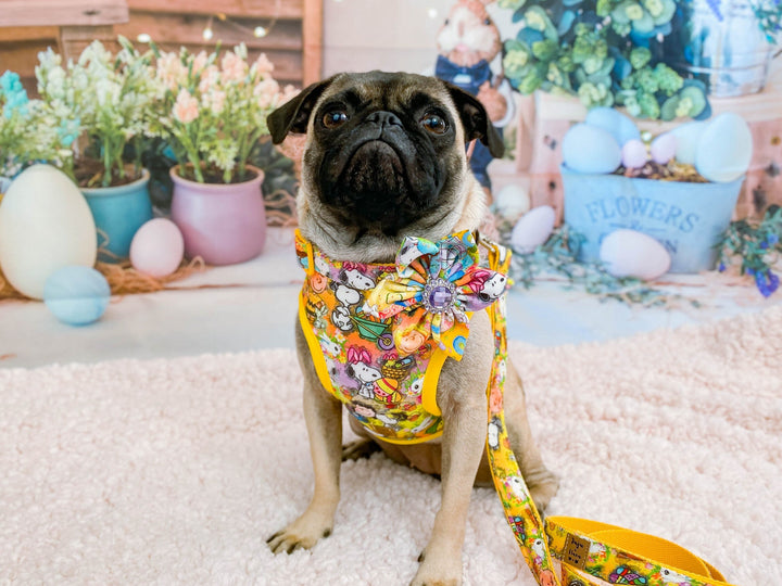 Easter dog harness - colorful eggs