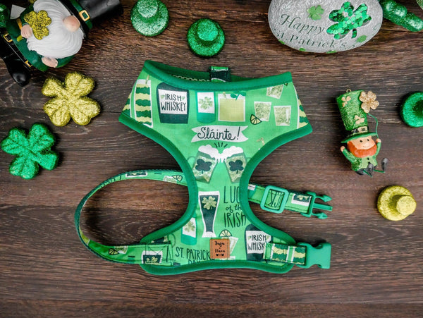 St. Patrick's Day dog harness - Irish Beer