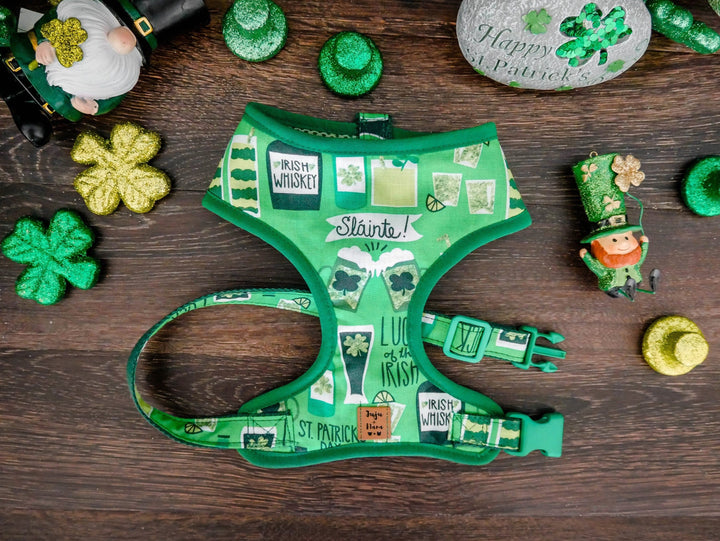 St. Patrick's day dog harness set - Irish beer