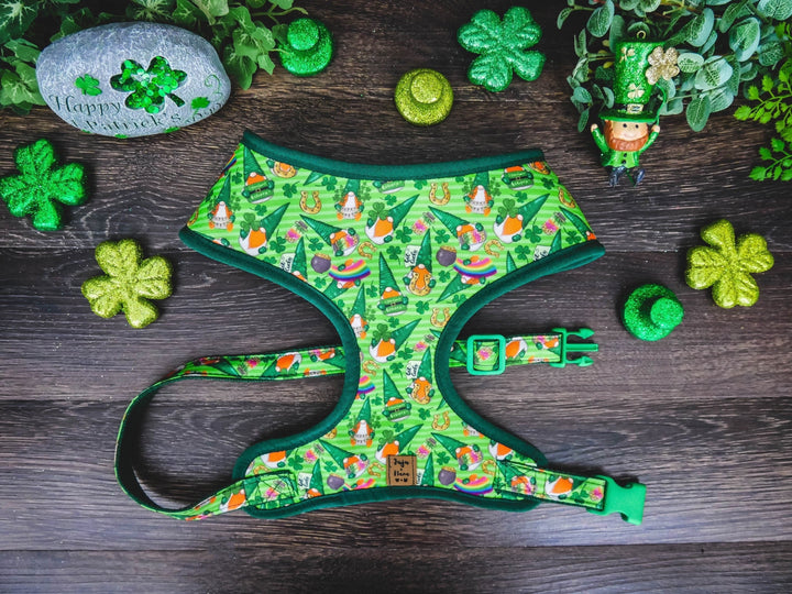 St. Patrick's Day dog harness - Shamrocks and Gnomes