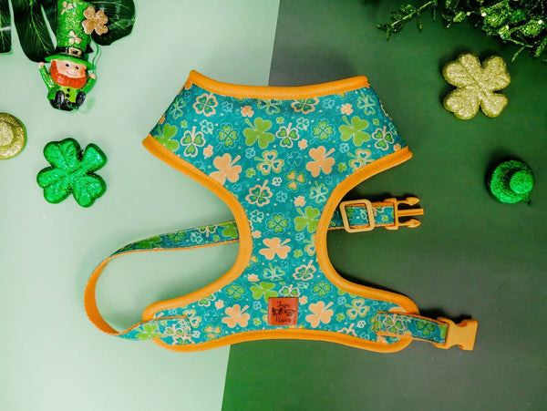 St. Patrick's Day dog harness - Shamrock and floral