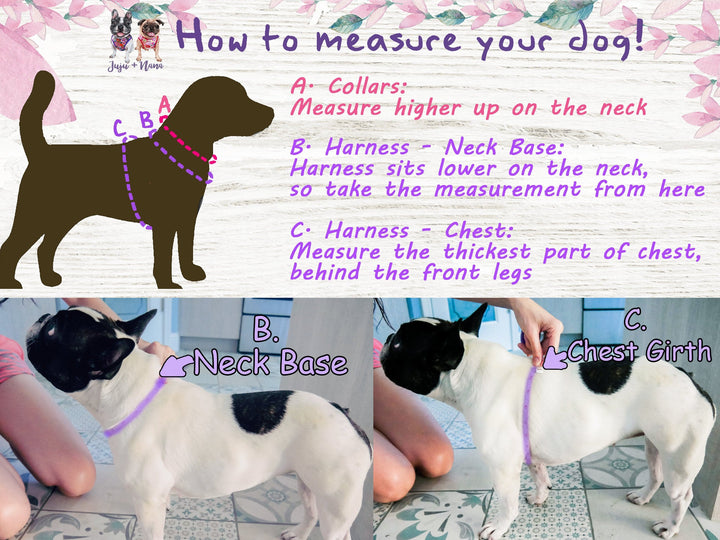 St. Patrick's Day dog harness - Shamrock and flower - Pink Trim