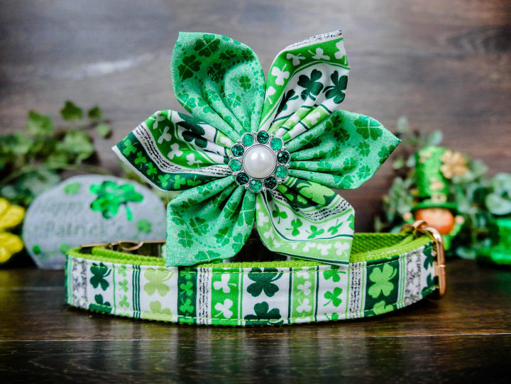St. Patrick's Day dog collar flower - Shamrock Stripes
