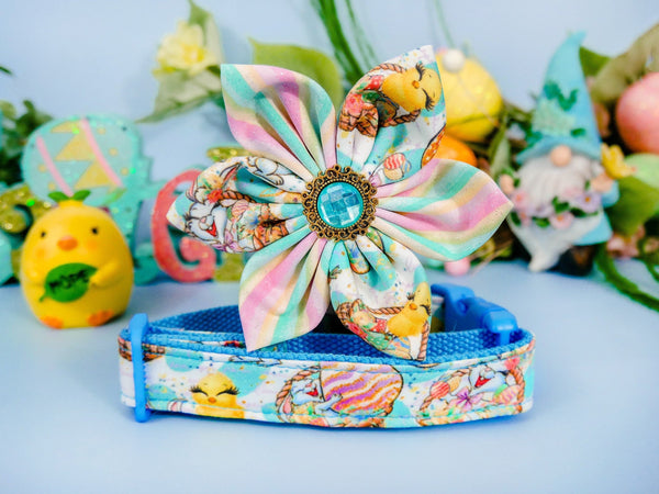 Easter dog collar with flower - Bunny, Chicken, and Eggs